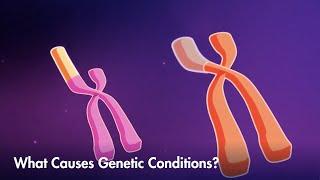 How mutations, or variations, can lead to genetic conditions