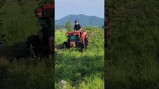동네 소문난 경운기