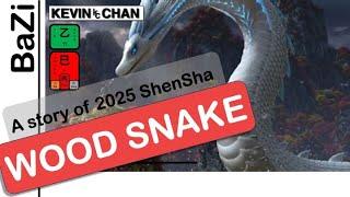 Forecast | 2025 Annual Forecast : SNAKE | Kevin Chan