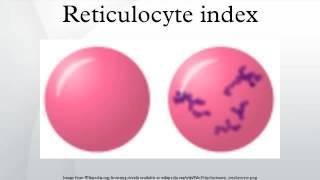 Reticulocyte index   YouTube