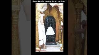 મંગળા સેવા દર્શન - જય રણછોડ રાય -  DT - 16 - 11 - 2024 શનિવાર