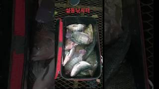 목을 내놓아라 역돔 내가 대가리에 총 맞았냐? 잔말 말고 좋은 말로 할때 목이나 길게 늘어뜨려 ''설동낚시터''