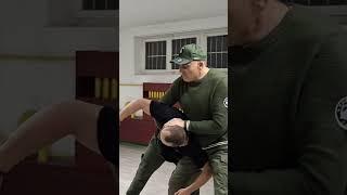 Top Wing Chun technique for Bodyguards-Master Lazo Naumov #wingchun #wingchunkungfu ##kungfu