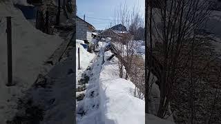 Незаконное землепользование чужого участка.