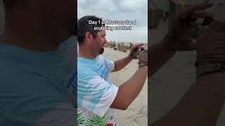 Day 1 at Texas Sand Fest Master sand sculpting contest
