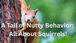 A Tail of Nutty Behavior: All About Squirrels!