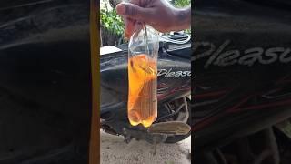 Petrol ഊറ്റാൻ നോക്കിയപ്പോൾ സംഭവിച്ചത്  | #shorts #aadhilreactionzz #experiment #m4tech #malayalam