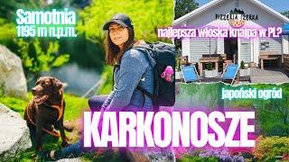 KARKONOSZE - Szrenica, Samotnia... i najlepsza włoska knajpa w Polsce?