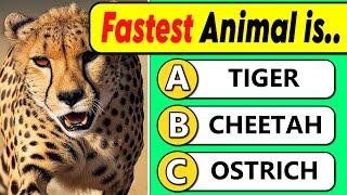 General Knowledge Quiz | Animal Edition   