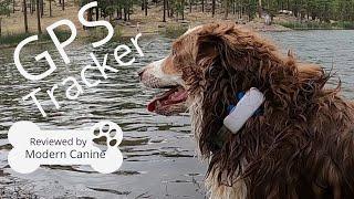 Tractive GPS Tracker for Dogs