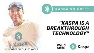 Wolfie Explains Kaspa's Innovation Using Car History