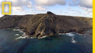 Let's Take Bold Steps Forward to Protect Our Planet | National Geographic