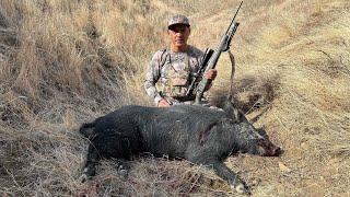 California Public Land Pig Hunt