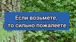 Если возьмёте, то сильно пожалеете!