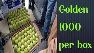  Today golden wholesale rate in dhali mandi 1000rs box 