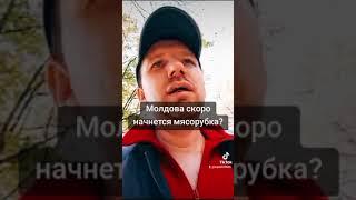 В Молдове будет мясорубка #молдова