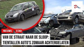 Weesauto's belanden bij Dave op een hoop: 'Soms zit er een hele inboedel in!'