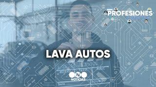 PROFESIONES ARGENTINAS: LAVA AUTOS - Telefe Noticias