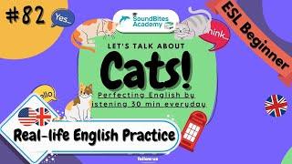 [Master English in 30 Min]  Cats Daily Conversations | Ep. 82 #30MinADay #BoostEnglishIn3Months