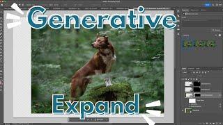 How to use Photoshop's Generative Expand for your pet photos!