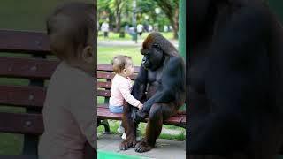 Gorilla and baby are chatting in the chair together.#gorilla #baby#shorts#cute#funny#love#animals