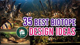 35 Biotope Aquarium Design Ideas