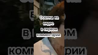 Ради чего вставать в 3-07? #психосоматика #психология #тревога #тревожность #здоровье #путешествия