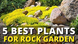 5 Best Plant for Rock Garden 🪨  Landscaping Ideas for Your Garden 