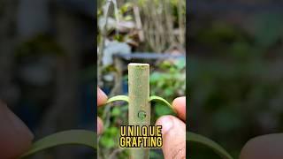 How to grafting #grafting #gardening