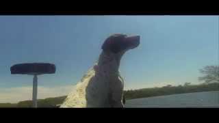 Gopro: Bass Fishing PWGO/Old Hickory Lake,TN