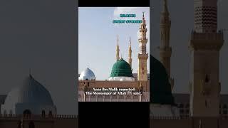 Seeking knowledge In Islam#shorts #hadith #muslim#knowledge