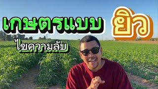 ทำเกษตรยังไง..ให้รวยแบบชาวอิสราเอล | วัยรุ่นอิสราเอล EP. 46 | ‪@dobungyt