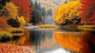 Beautiful Autumn Color with Relaxing Music  Healing of Stress, Anxiety Relief ~ Fall Foligae 4K