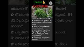 #ఆకుకూరలతో లభించే ఉపయోగాలు తెలుసా? #healthtips #shorts  #viralshorts #trending #syamalachethivanta