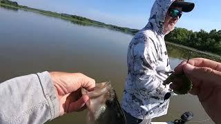 June Fishing on Lake Dardanelle