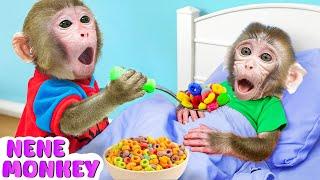 Baby Monkey NeNe takes care of Little Monkey for the First Time | NENE ANIMAL MONKEY