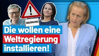 Vereinte Nationen planen Weltregierung! Beatrix von Storch - AfD-Fraktion im BT