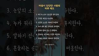 마음이 단단한 사람의 하루 태도 ⭐️ | #명언 #인생조언 #좋은글