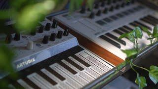 Synthesizer vs. MIDI Controller