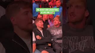 Mr. Beast sitting with Logan Paul  #UFC299