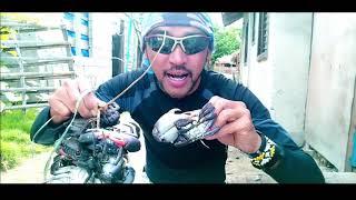 Alimango / kingcrab hunter in the Island of BIRI, NORTHERN SAMAR #seafoods #hunting