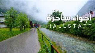 صباح ممطر في قرية هالشتات أجواء خلابة في أجمل قرية بالعالم | A Rainy Morning in Hallstatt