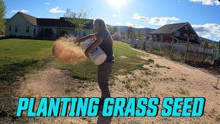 HOW TO PLANT GRASS IN DEAD SPOTS. OVERSEED YOUR LAWN