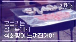 3 PIGS in JEJU-아기돼지삼형제의 제주도이야기 3편 - 흔들리는 샴푸속에서 석화향이 느껴진거야 [함께해요리]아기돼지삼형제의 좌우충돌 요리대행진!