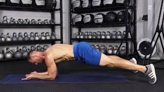 Elbow plank hip twists