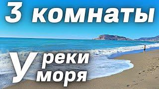 Очень хорошая квартира у моря и у реки Аланья Турция