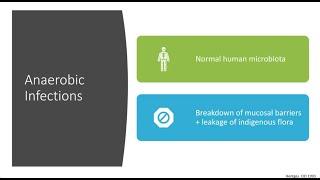 Anaerobic Infections -- Ju Hee Katzman, MD
