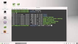 change ownership of a folder in Linux Mint 13