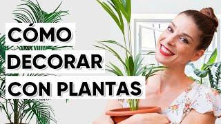 DECORACION con PLANTAS de INTERIORES  |  Miriam Mimesis