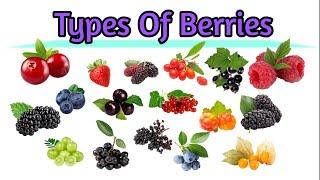 Berriesnames of berriesdifferent types of berries with pictures and names🫐learn types of berries